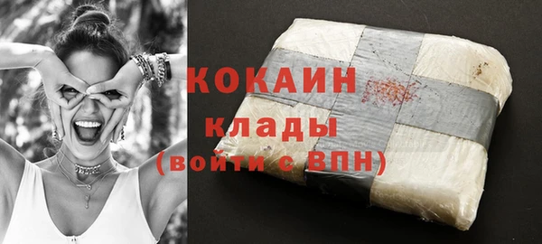 альфа пвп Горнозаводск