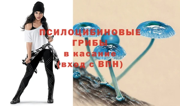 винт Магадан