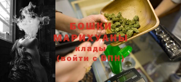 дживик Мегион