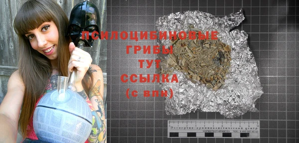 дживик Мегион