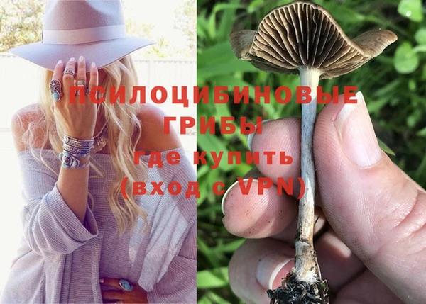 прущая мука Медвежьегорск