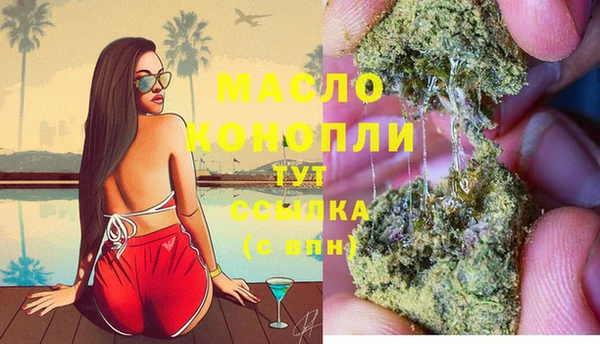соль ск Медногорск